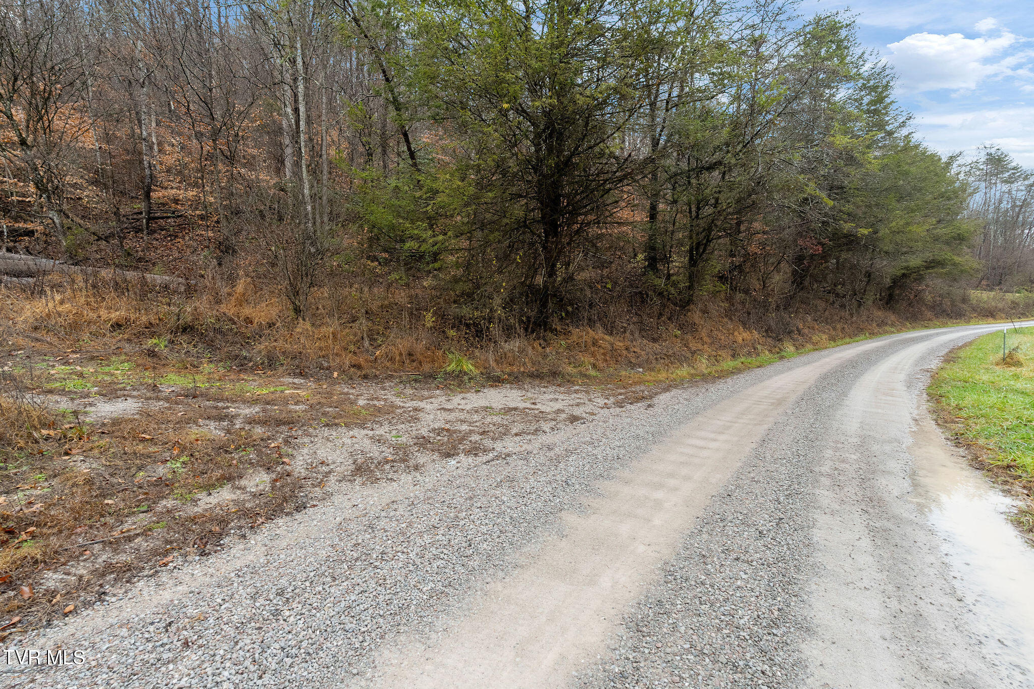 7300 Snake Hollow Road Sneedville, TN 37869 - Photo 37 of 45 DSC02097