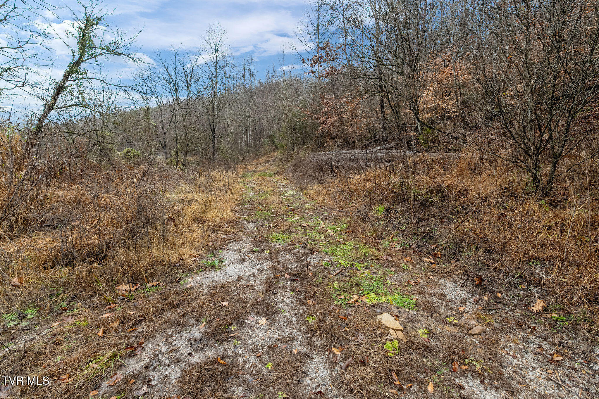 7300 Snake Hollow Road Sneedville, TN 37869 - Photo 38 of 45 DSC02098