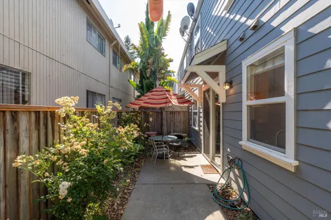 a view of a garden with plants and large trees