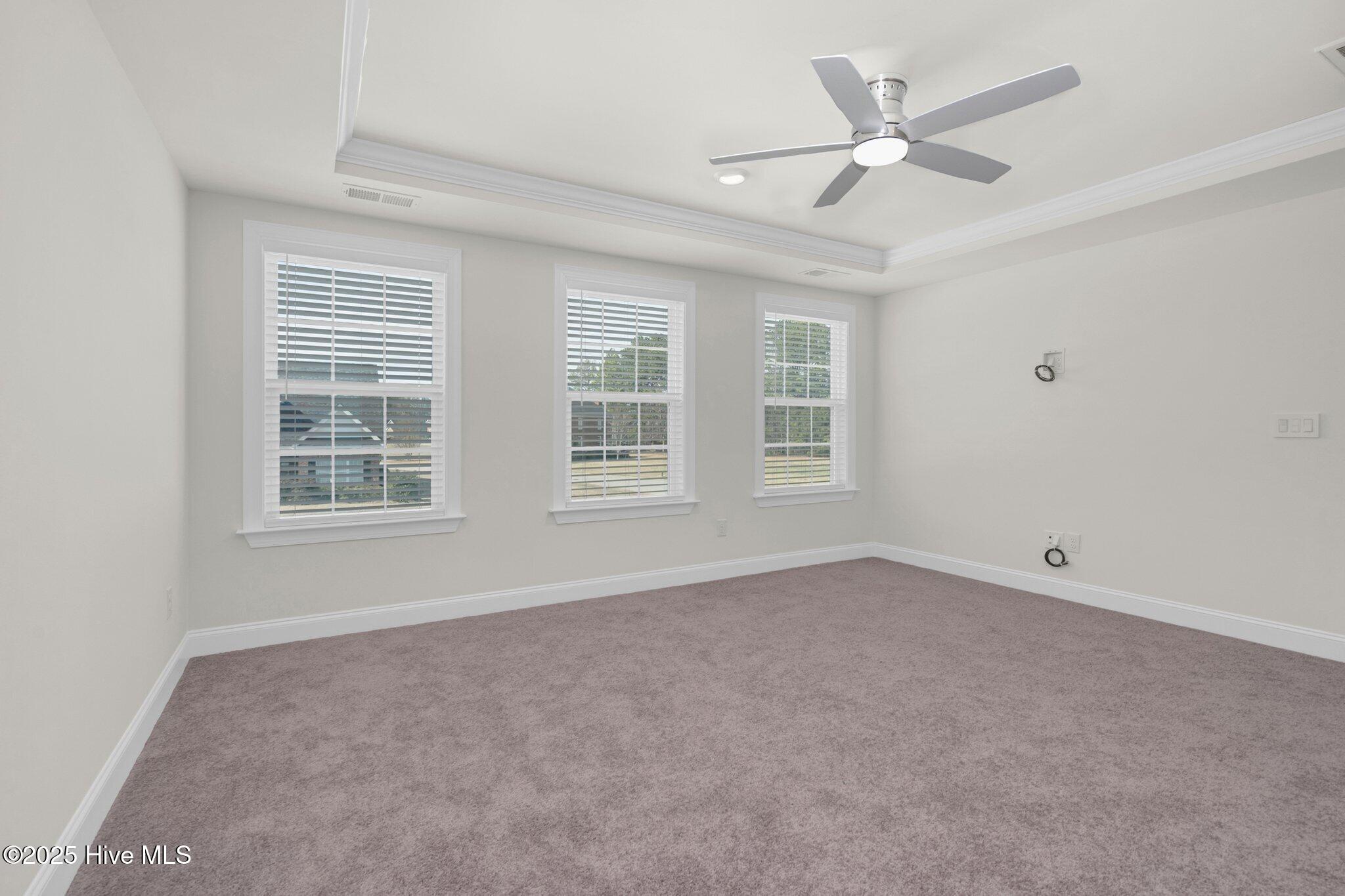 75 Eltham Rocky Mount, NC 27804 - Photo 20 of 53 ...trey ceiling.