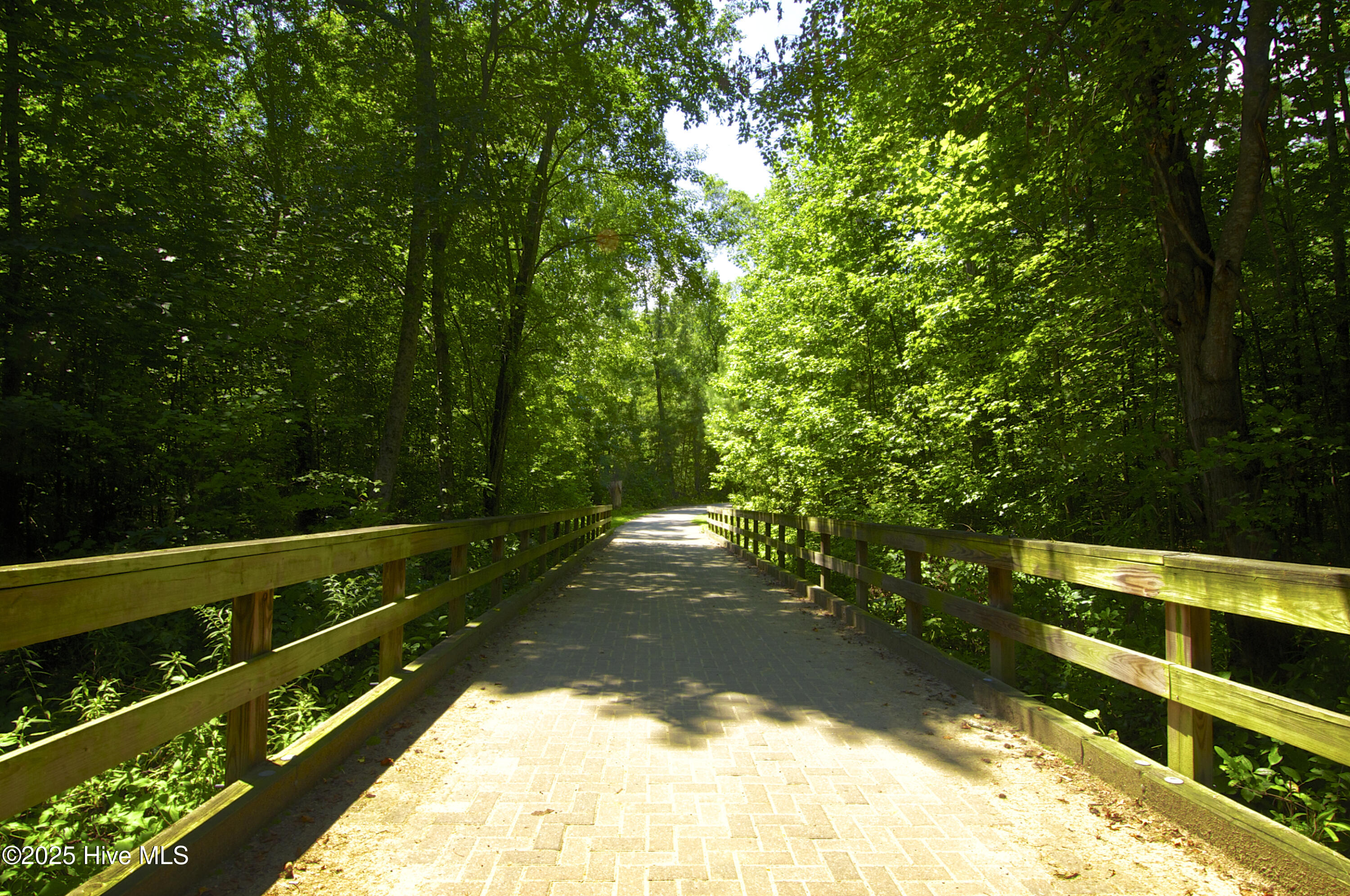 75 Eltham Rocky Mount, NC 27804 - Photo 44 of 53 Trails