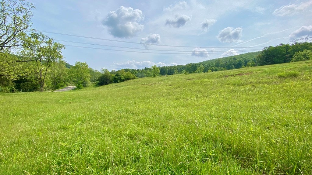 Tbd Castleton Road, Unit 62110 Max Meadows, VA 24360 - Photo 2 of 37 Gallery Image 2