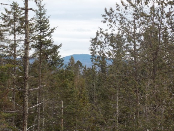 - Pinnacle Road West Burke, VT 05871 - Photo 1 of 1 Gallery Image 1