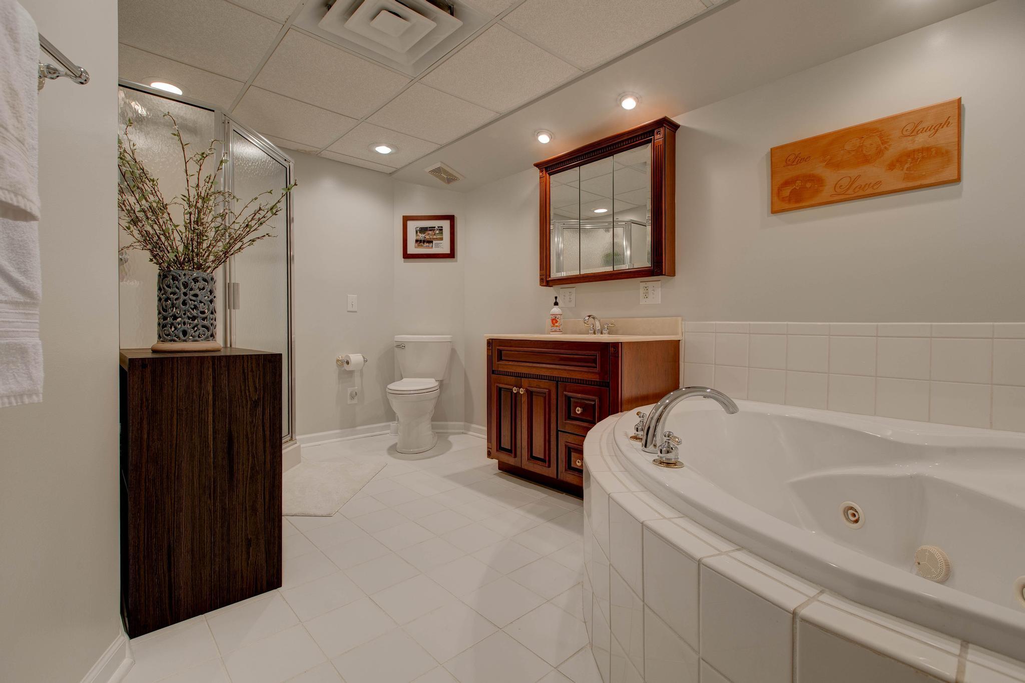 140 Maple Ridge Drive Mount Sterling, KY 40353 - Photo 27 of 37 Bathroom Lower