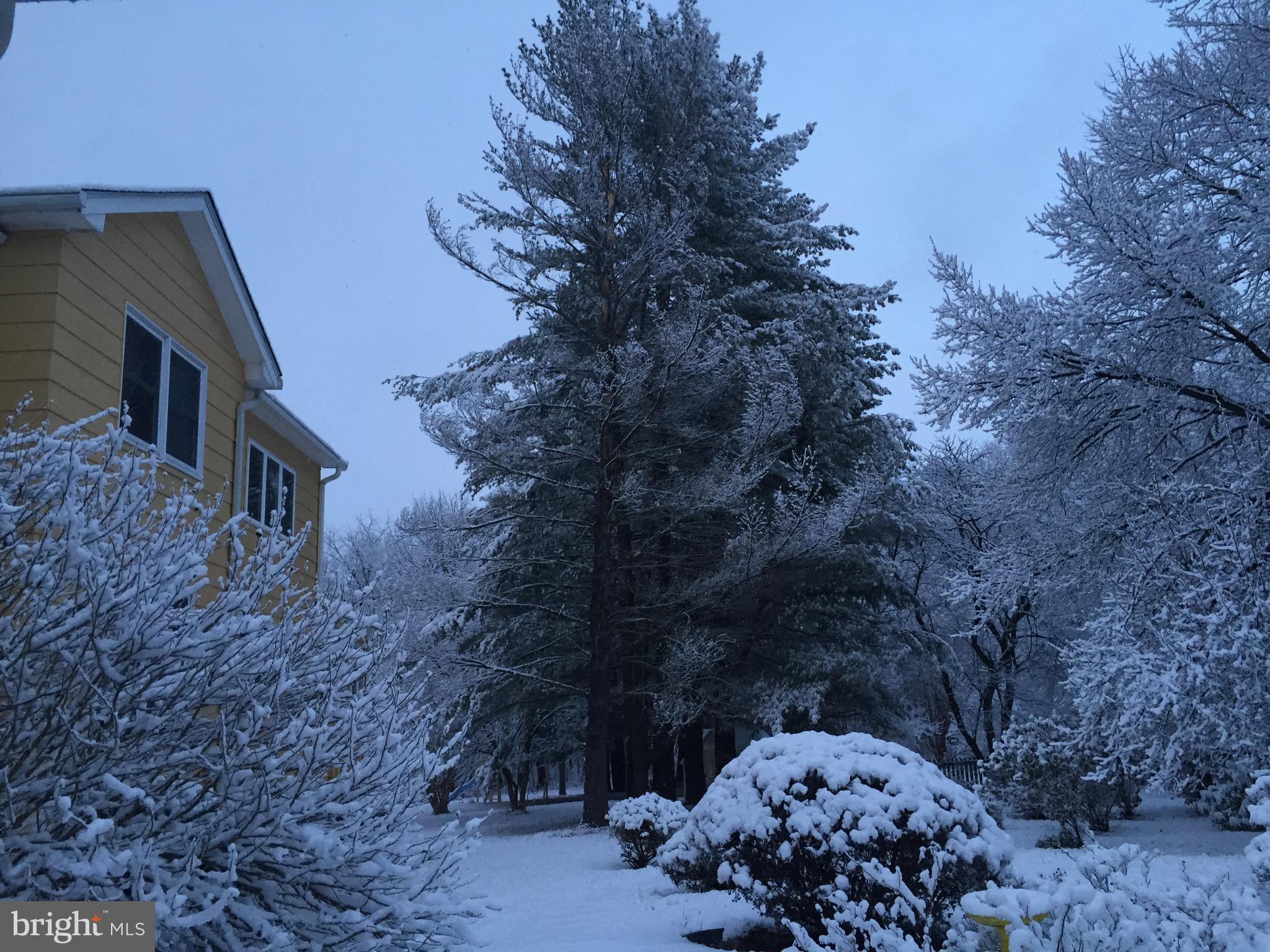 16764 Hillsboro Road Purcellville, VA 20132 - Photo 62 of 74