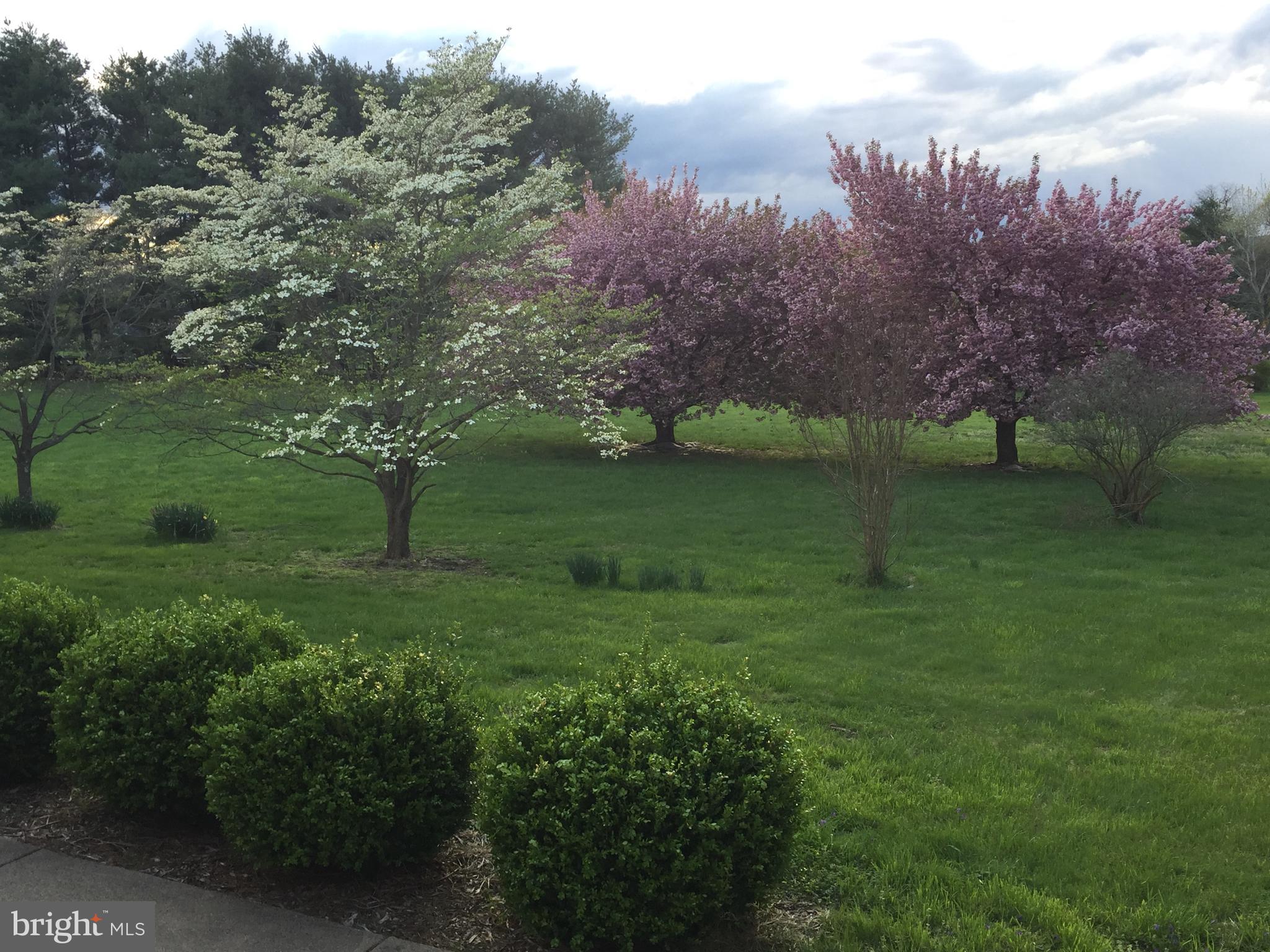 16764 Hillsboro Road Purcellville, VA 20132 - Photo 64 of 74