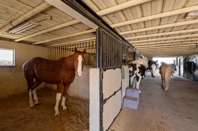 $7,440,000 | 21401 Hope Road, Canyon, TX 79015