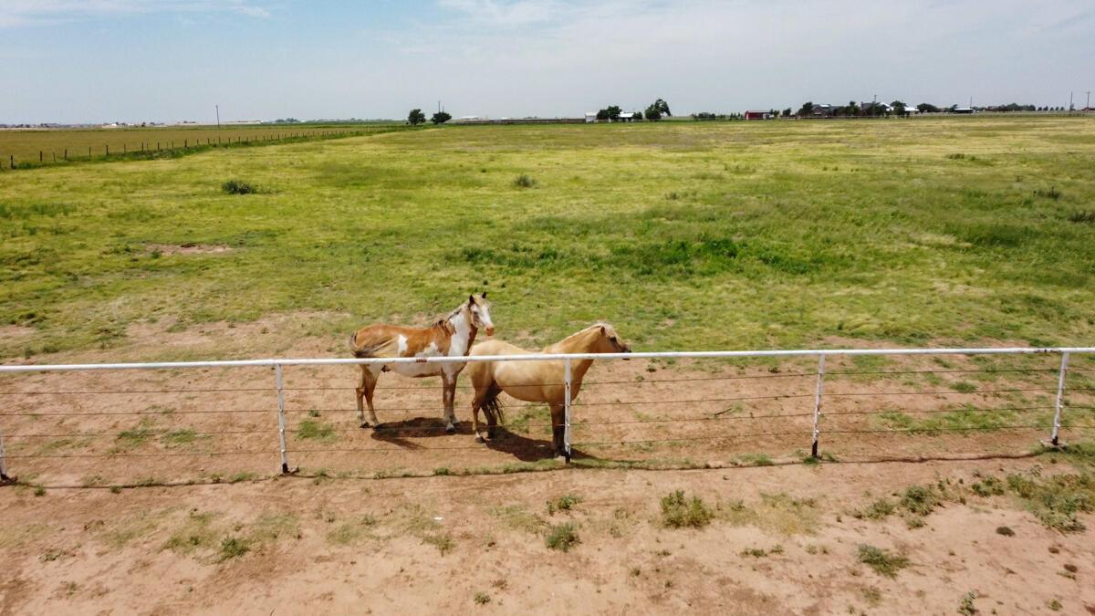 21401 Hope Road Canyon, TX 79015 - Photo 116 of 121 21401_Hope_Rd_106_Aerial