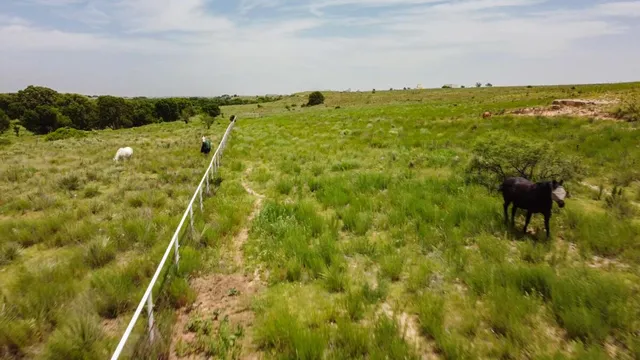 $7,440,000 | 21401 Hope Road, Canyon, TX 79015