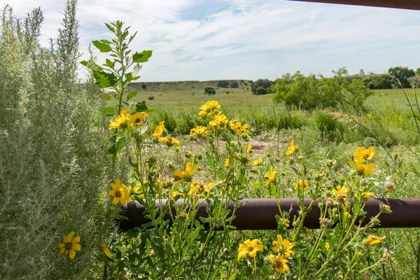$7,440,000 | 21401 Hope Road, Canyon, TX 79015