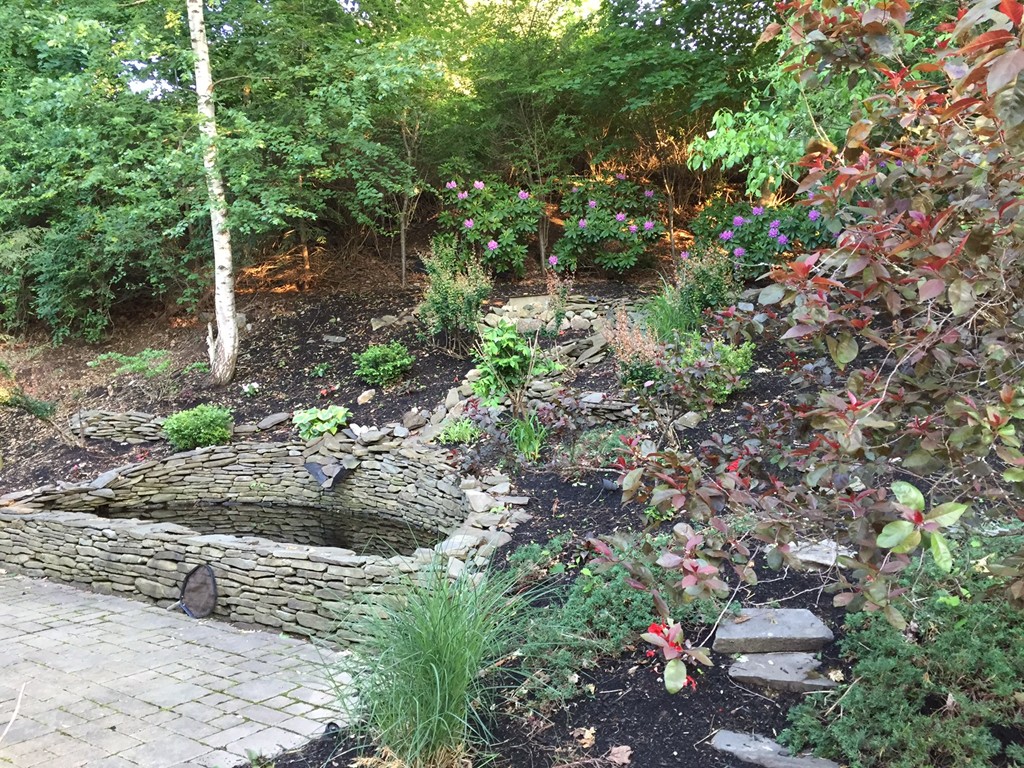 5 Wareland Road Wellesley, MA 02481 - Photo 19 of 19 a view of a garden with plants