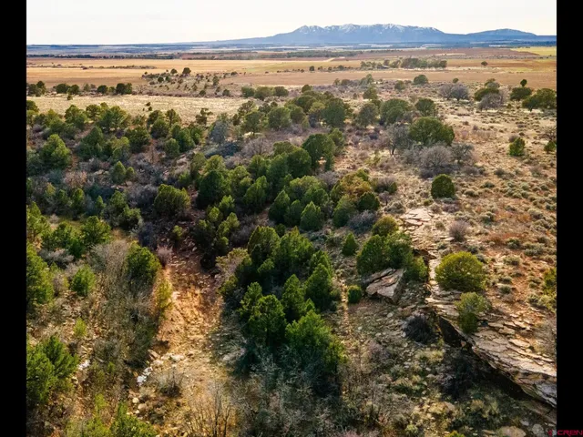 a view of city and mountain
