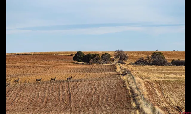 a view of an ocean and beach