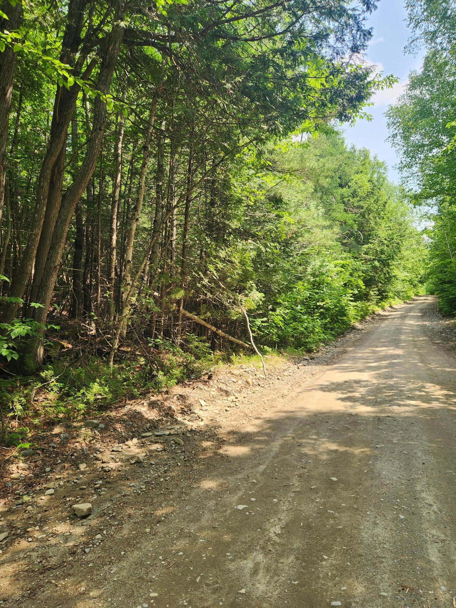 Lot #44 Mill Hill Road Springfield, ME 04487 - Photo 1 of 8 20260630_140734