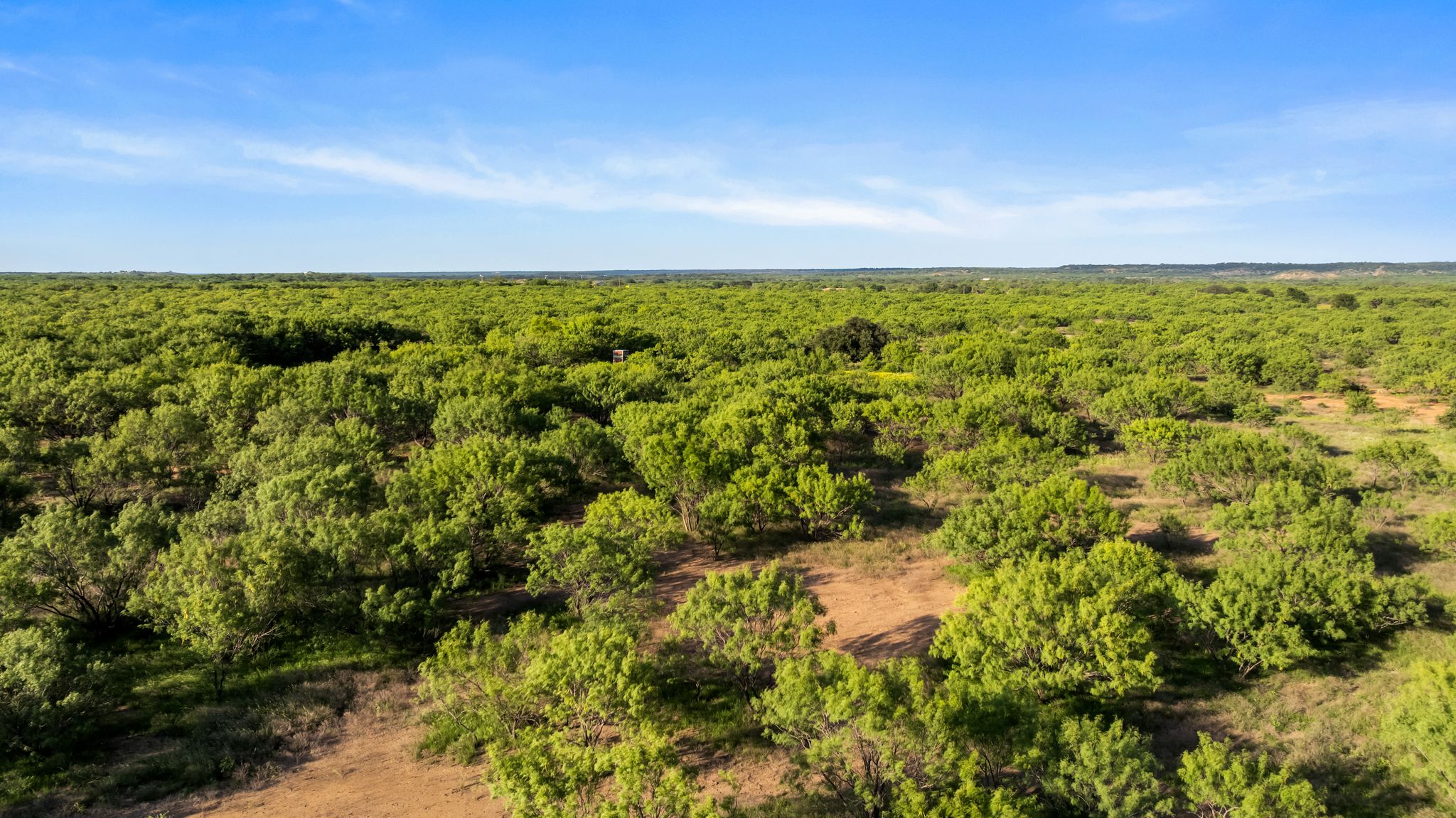 2186 FM 1028 Rochelle, TX 76872 - Photo 5 of 19 Aerial view of a heavily wooded area