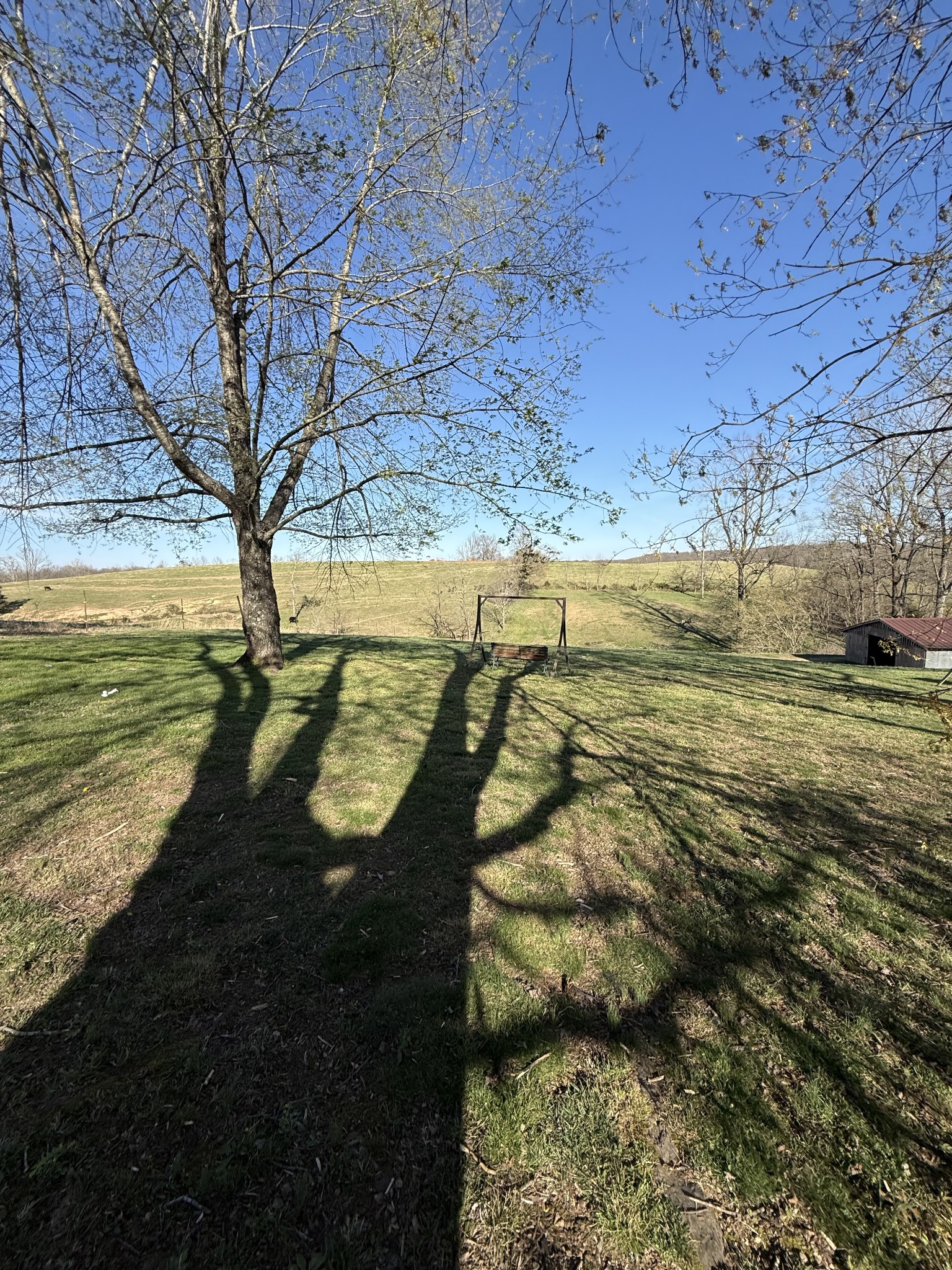 231 Austin Road Lafayette, TN 37083 - Photo 12 of 44