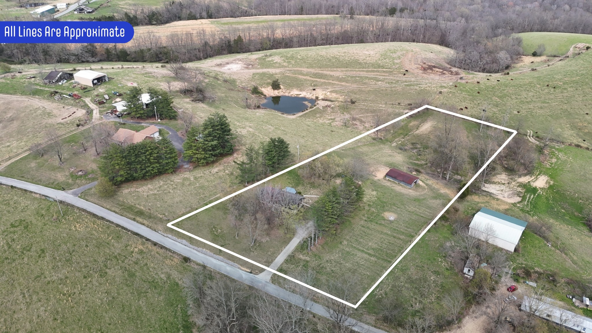 231 Austin Road Lafayette, TN 37083 - Photo 27 of 44