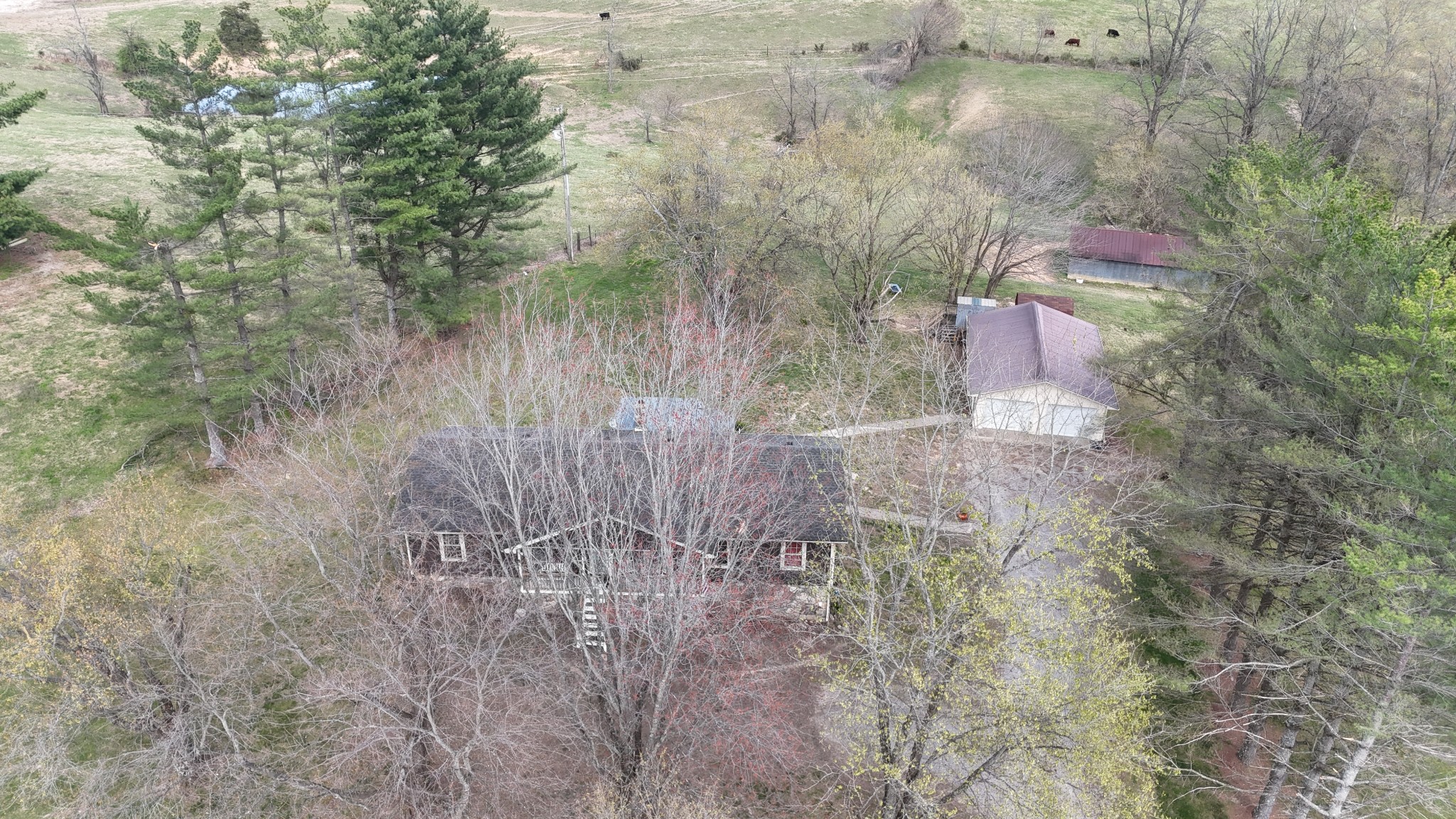 231 Austin Road Lafayette, TN 37083 - Photo 28 of 44