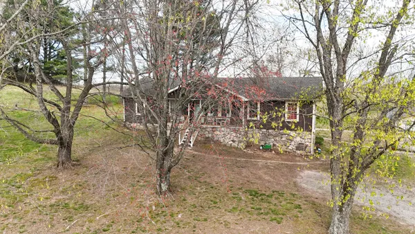 a view of a yard