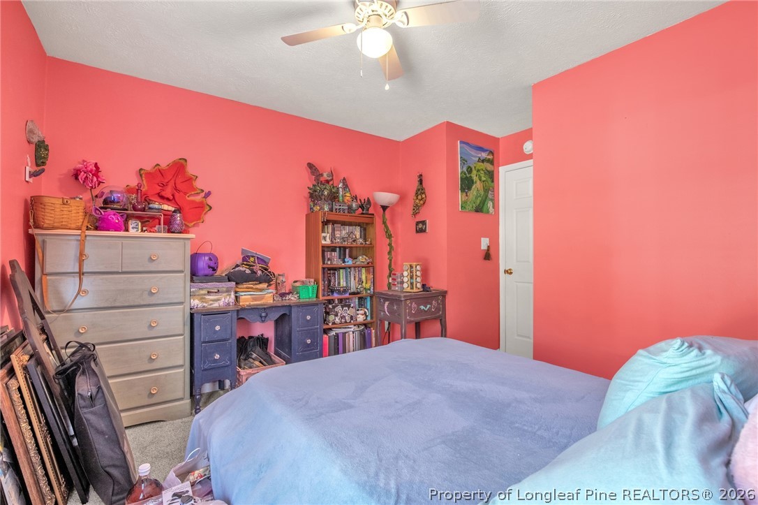 2068 Tingen Road Broadway, NC 27505 - Photo 19 of 30 Gallery Image 19
