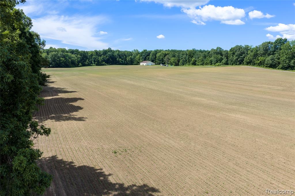 10069 Silver Lake Road Linden, MI 48451 - Photo 11 of 28
