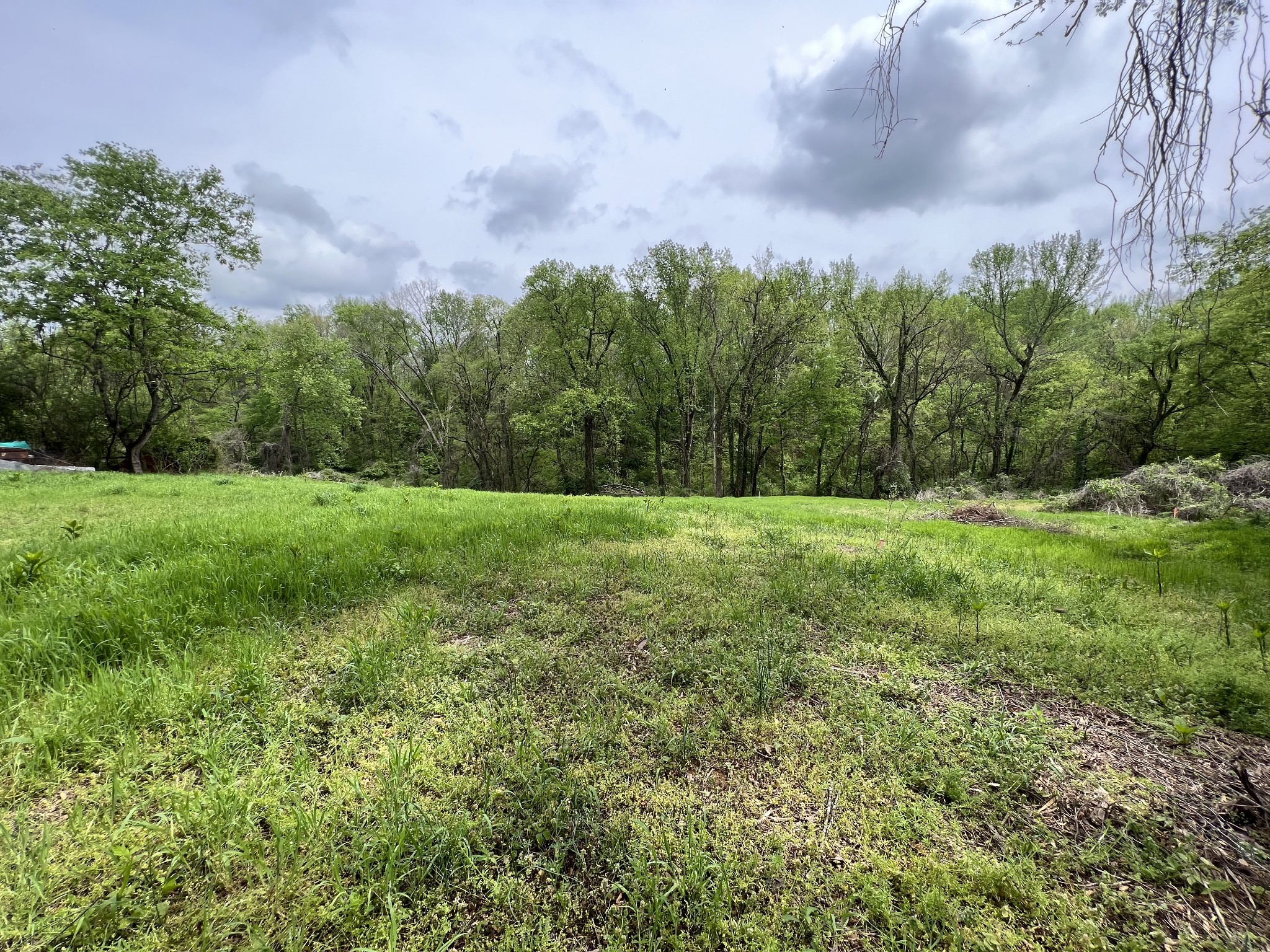 0 Bowman Street Carthage, TN 37030 - Photo 2 of 4 a view of a field with trees in the background
