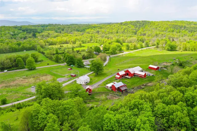 a view of a field with plants