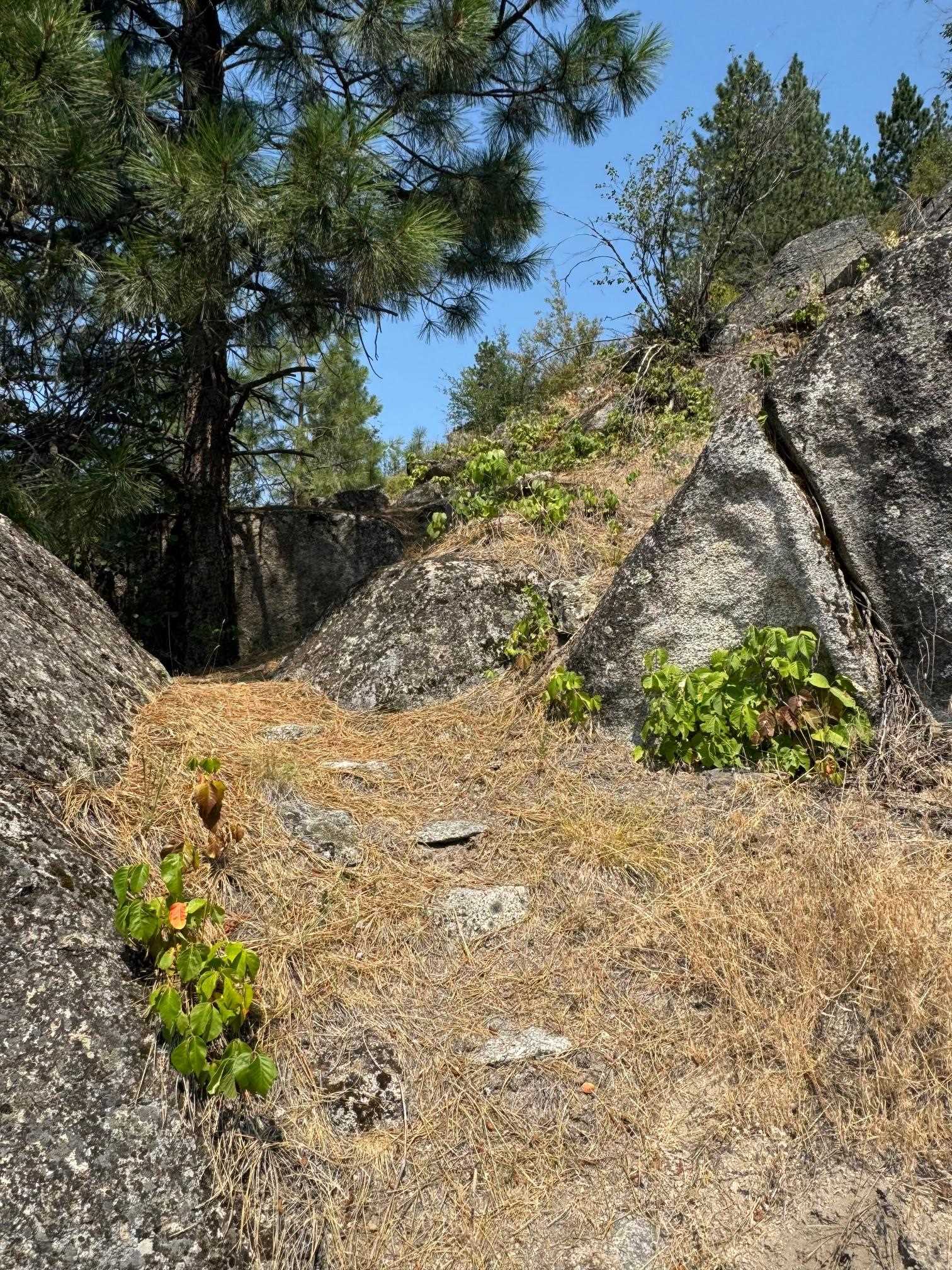 13604 North Riverbluff Lane Spokane, WA 99208 - Photo 4 of 6