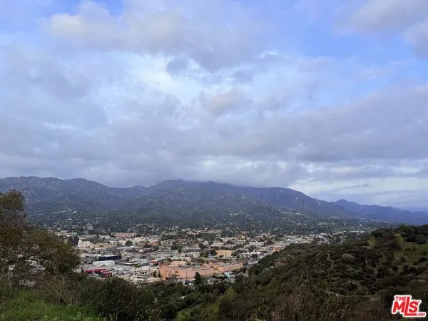 a view of city and mountain