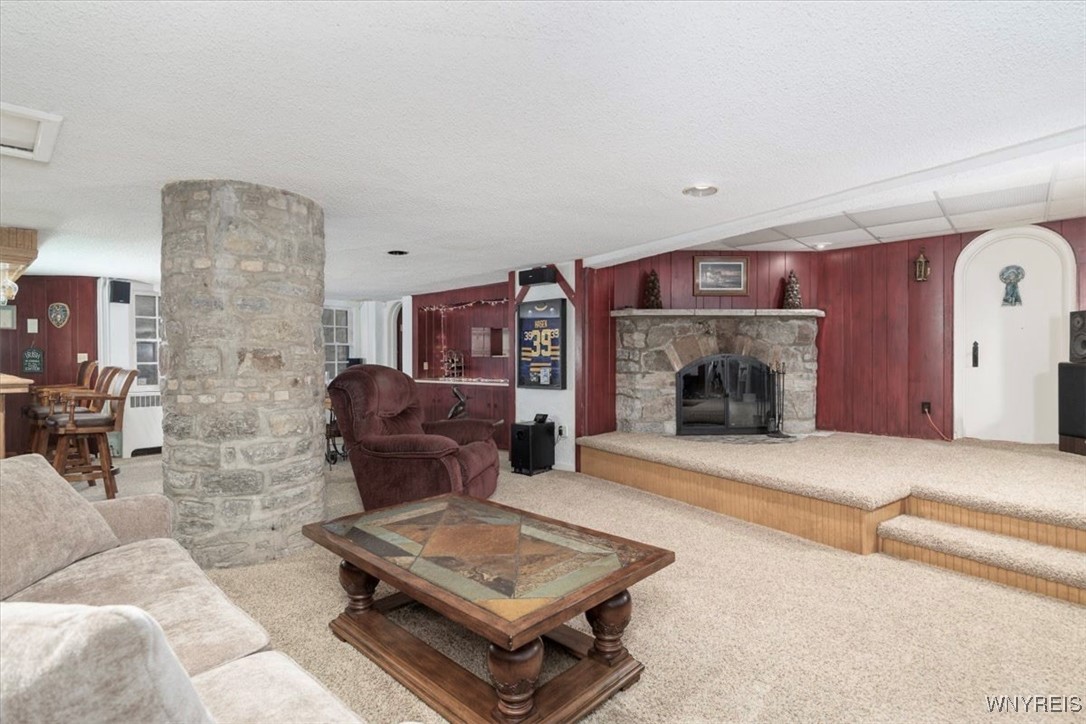 1005 Big Tree Road East Aurora, NY 14052 - Photo 28 of 50 WALK OUT LOWER LEVEL REC ROOM