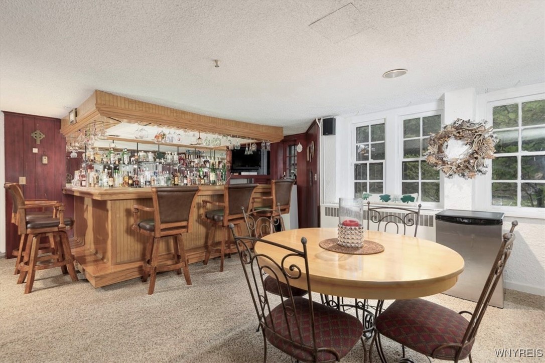 1005 Big Tree Road East Aurora, NY 14052 - Photo 29 of 50 WALK OUT LOWER LEVEL BAR