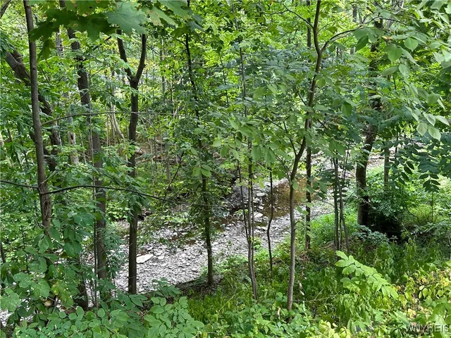 $1,600,000 | 1005 Big Tree Road, East Aurora, NY 14052