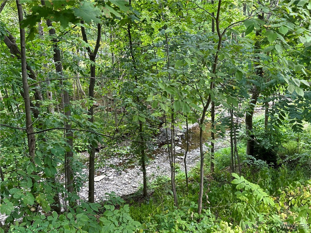 1005 Big Tree Road East Aurora, NY 14052 - Photo 40 of 50 TANNERY BROOK VIEW FROM PORCH
