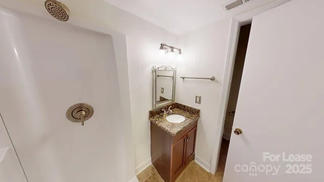 a bathroom with a shower a mirror and vanity