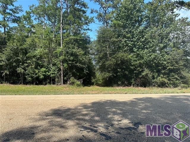 40 Bush La Bush, LA 70431 - Photo 2 of 12