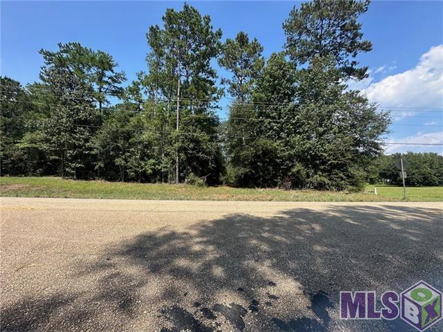 40 Bush La Bush, LA 70431 - Photo 3 of 12