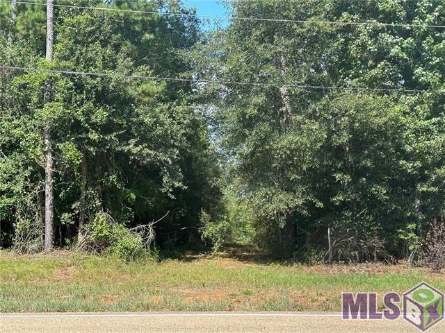 40 Bush La Bush, LA 70431 - Photo 5 of 12