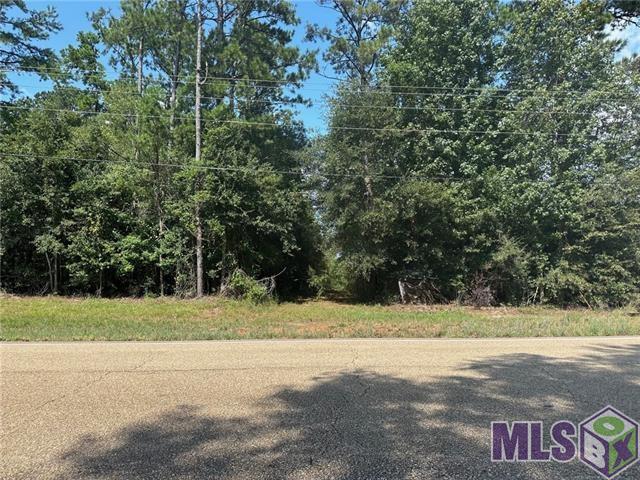 40 Bush La Bush, LA 70431 - Photo 6 of 12