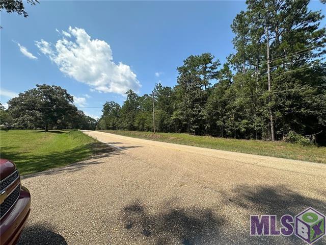 40 Bush La Bush, LA 70431 - Photo 8 of 12