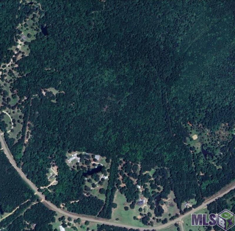 40 Bush La Bush, LA 70431 - Photo 9 of 12