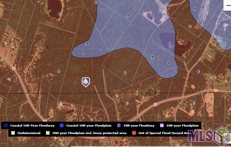 40 Bush La Bush, LA 70431 - Photo 10 of 12