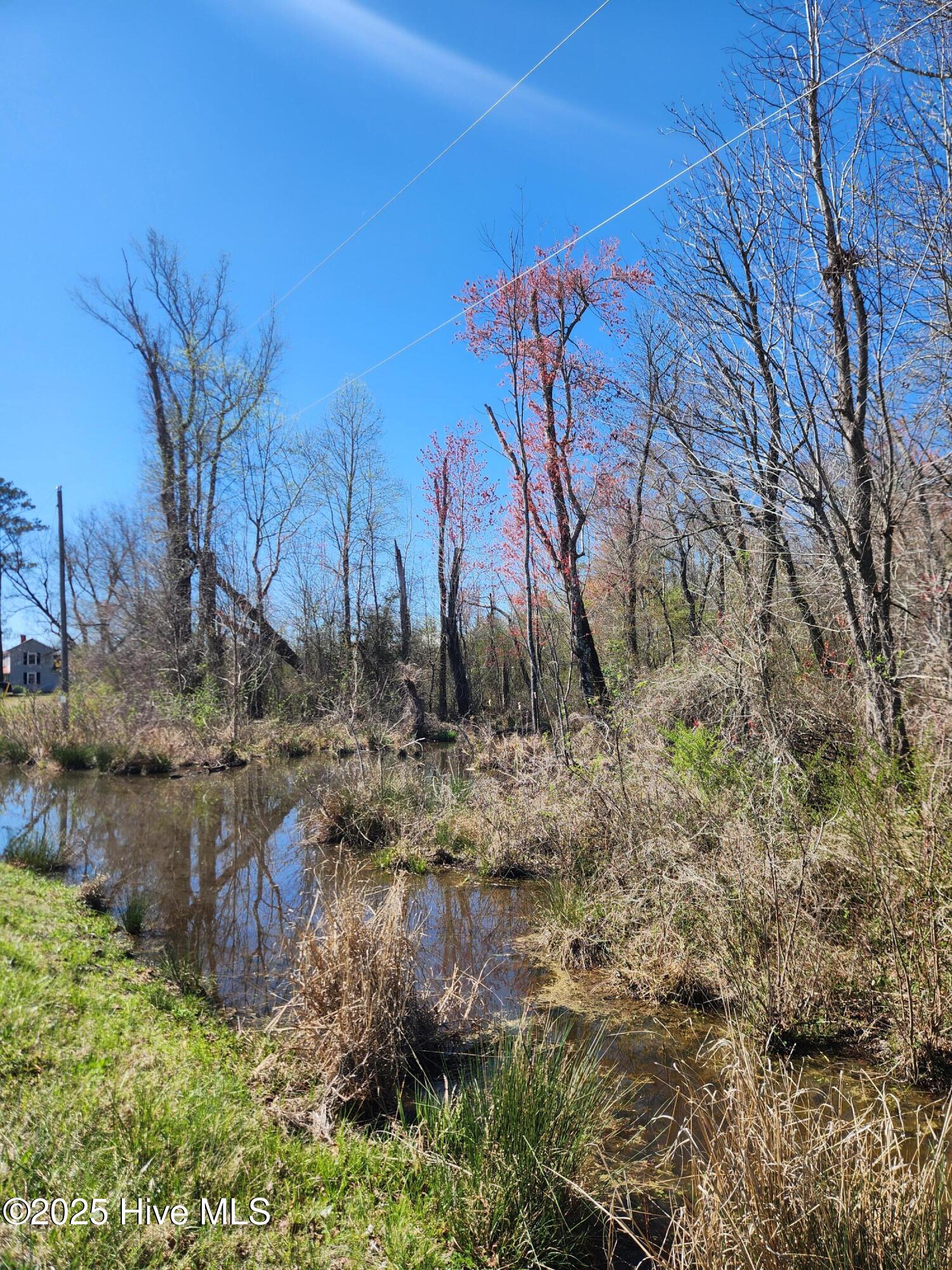 10355 Cherry Run Road Greenville, NC 27834 - Photo 40 of 41 1000003929