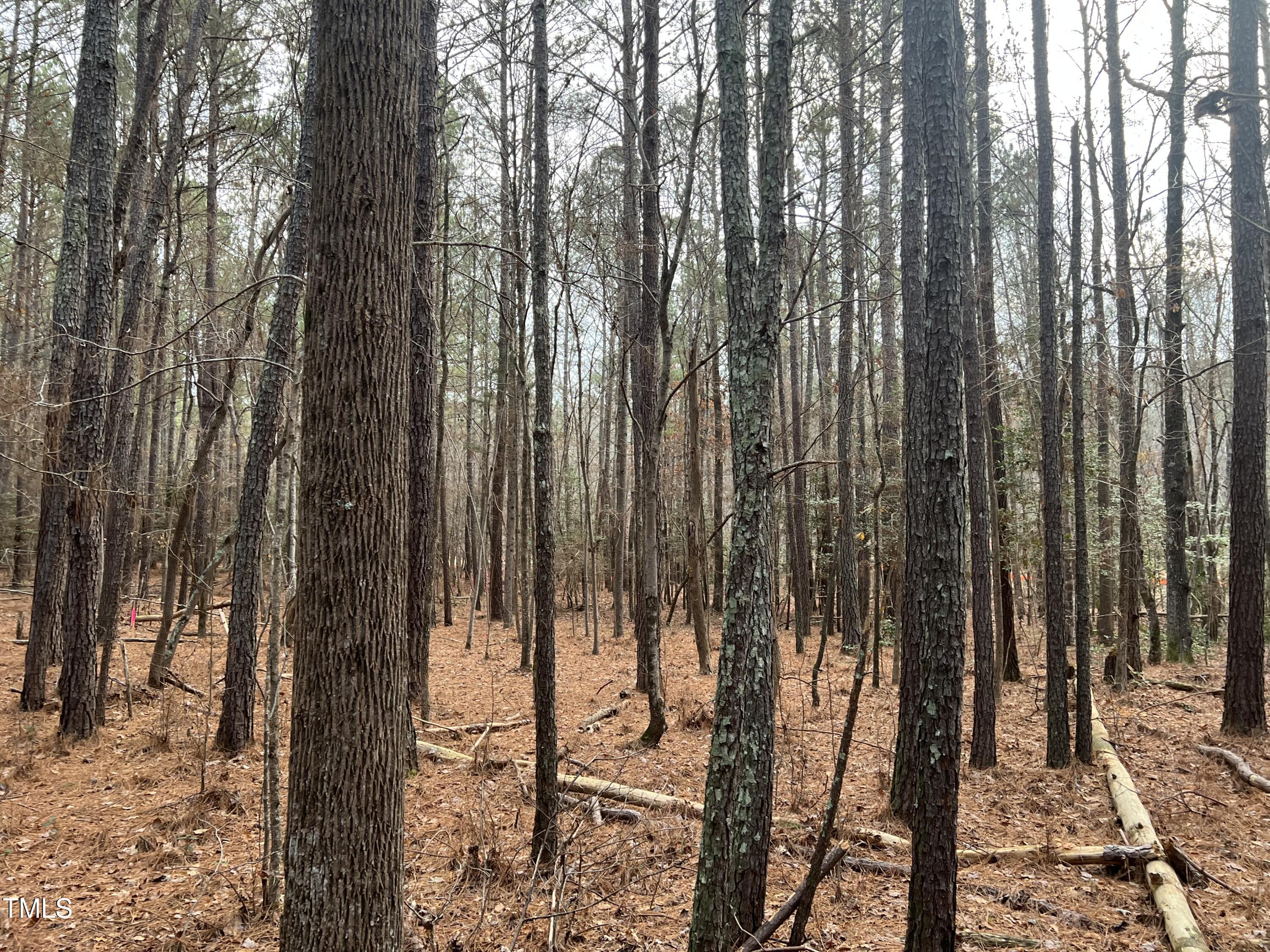 100 Anfield Road New Hill, NC 27562 - Photo 8 of 17 a view of a backyard of the house
