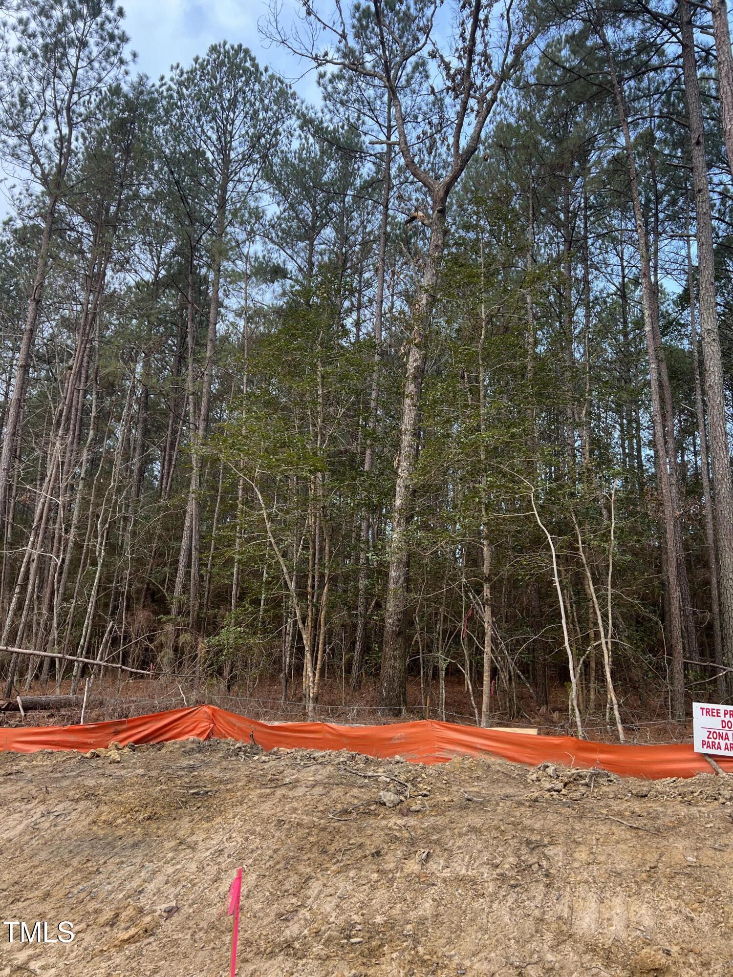 100 Anfield Road New Hill, NC 27562 - Photo 9 of 17 a view of outdoor space with trees