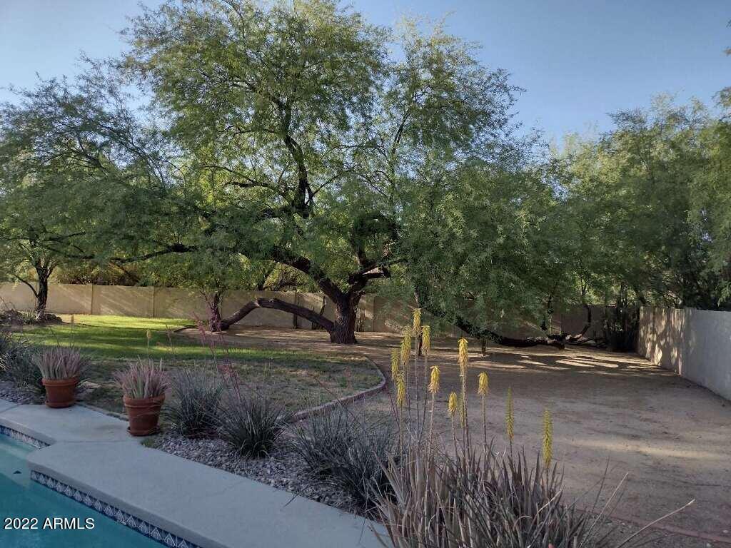 4908 East Doubletree Ranch Road Paradise Valley, AZ 85253 - Photo 54 of 70 imagejpeg-3 (1)