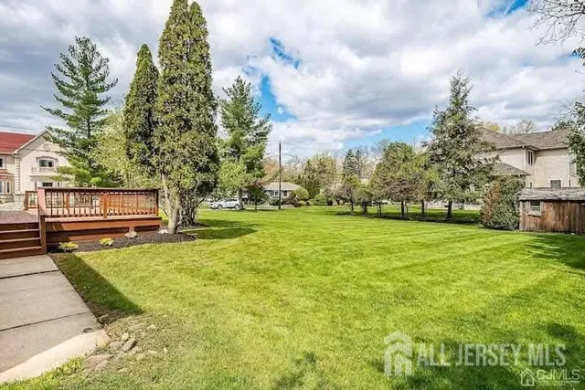a view of a yard with plants and trees