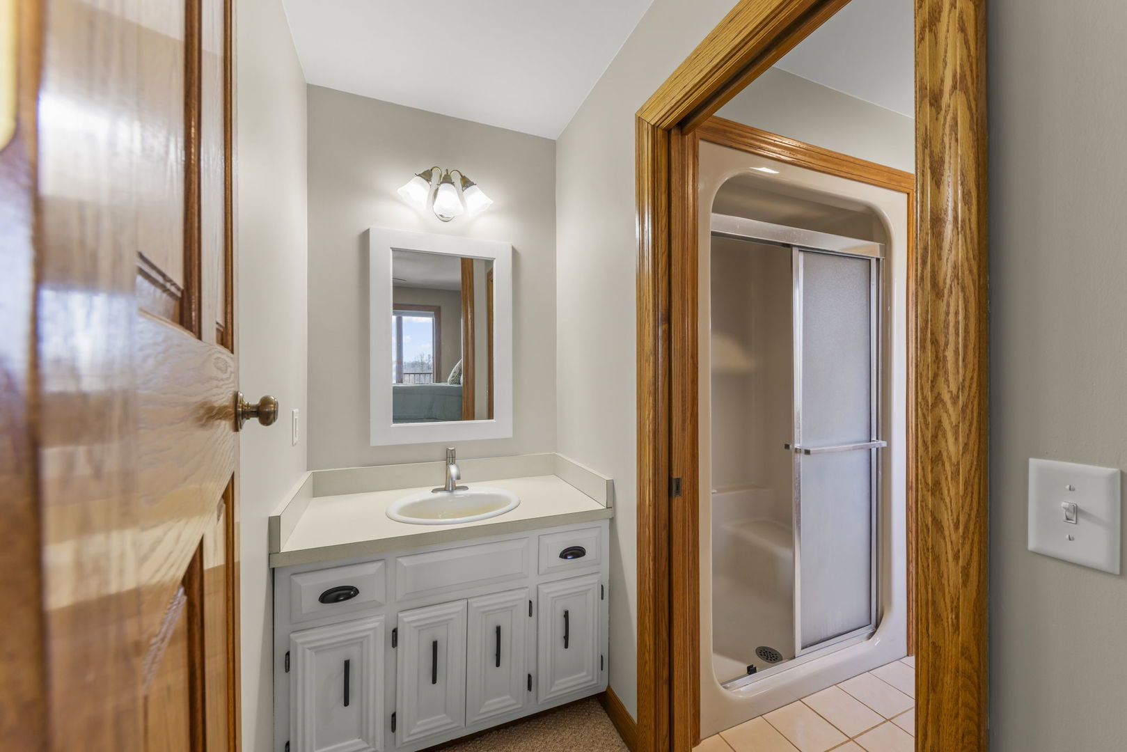 8877 Kennedy Road Yorkville, IL 60560 - Photo 38 of 86 a bathroom with a sink a mirror and a shower