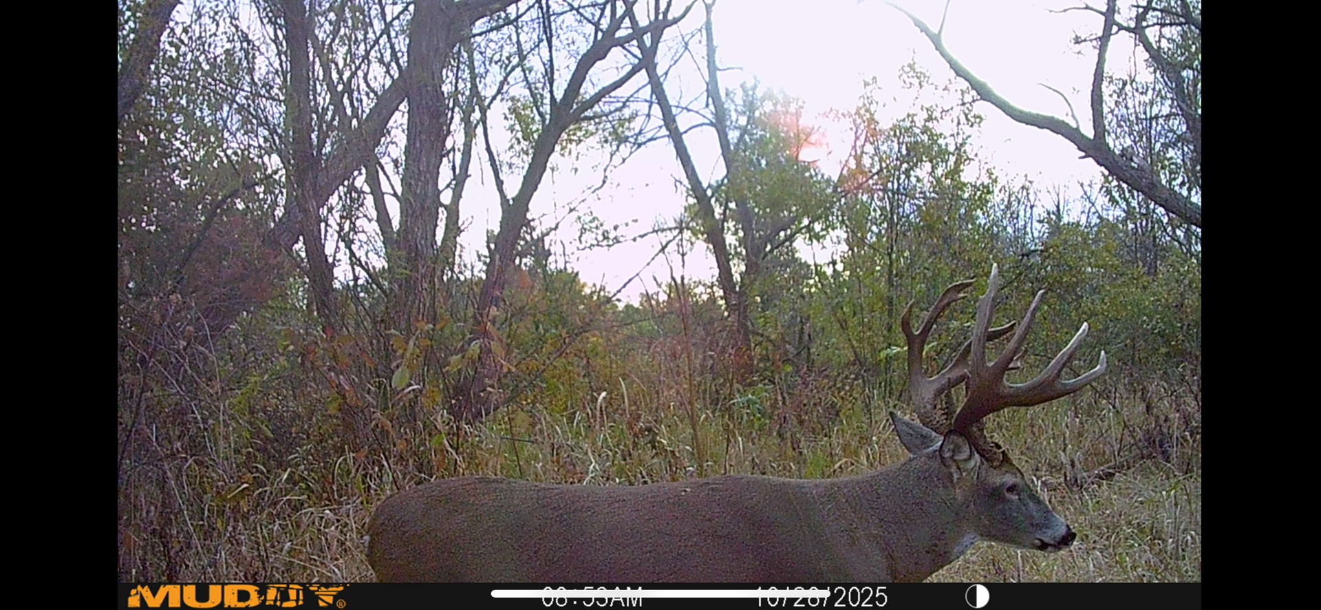 8877 Kennedy Road Yorkville, IL 60560 - Photo 77 of 86