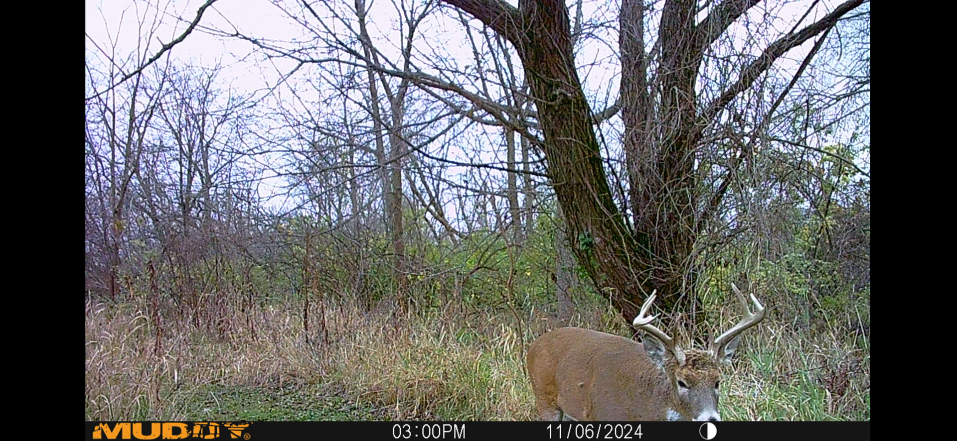 8877 Kennedy Road Yorkville, IL 60560 - Photo 78 of 86