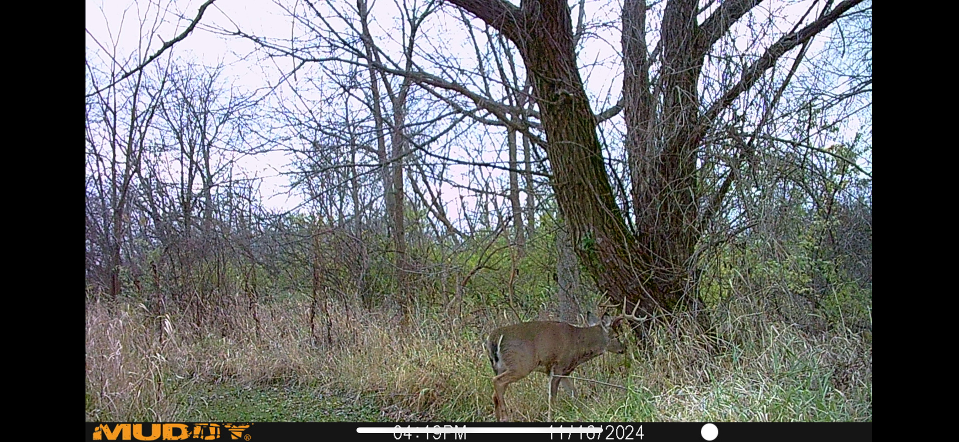 8877 Kennedy Road Yorkville, IL 60560 - Photo 79 of 86